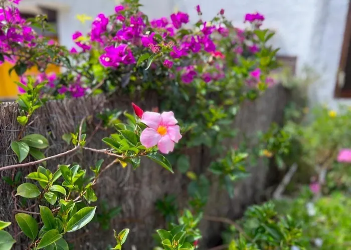 Casa Del Pi With A Shared Pool *